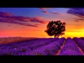 James Brown & Dee Felice Trio - All The Way ...