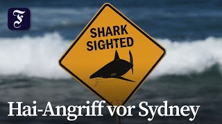 Hai-Angriff vor Sydney: Schwimmerin schwer verletzt