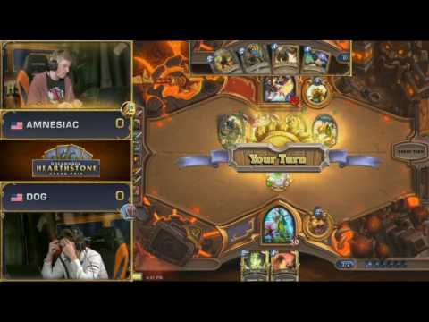 Amnesiac vs Dog, DreamHack Austin 2017 Play-Off