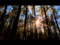Ludovico Einaudi - Nuvole Bianche