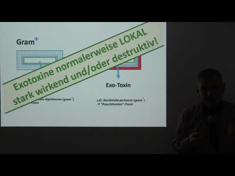 11.1 b) Toxic, anaphylactic, and neurogenic shock! NKLM No. 21.1.8.18