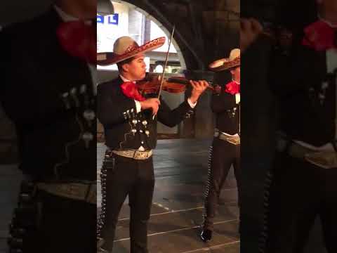 Video 6 de Mariachi Chapala