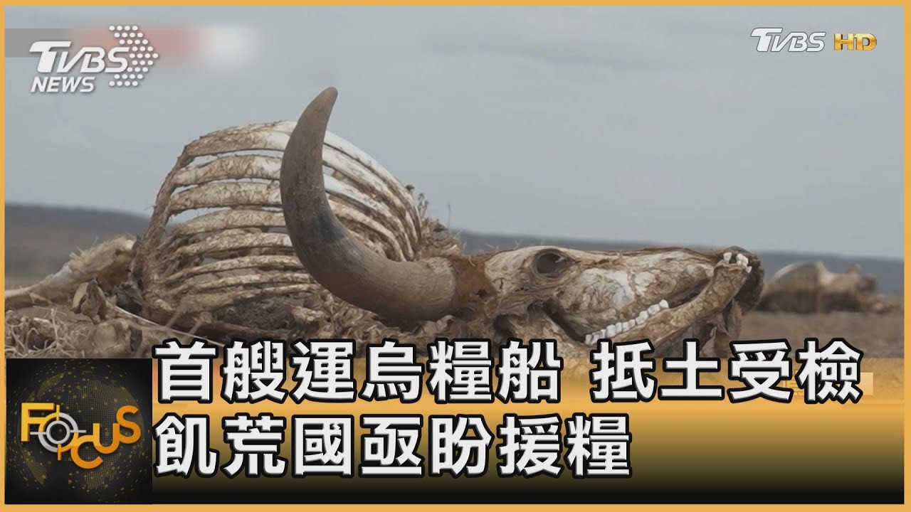 首艘運烏糧船 抵土受檢 飢荒國亟盼援糧