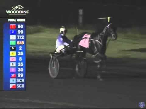 2015 Breeders Crown 3-Year-Old Colt Pace - theharnessedge.com