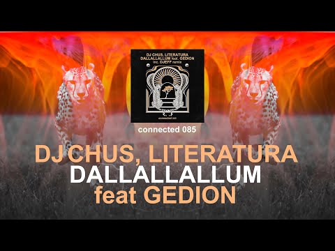 DJ Chus, Literatura - Dallallallum feat. Gedion