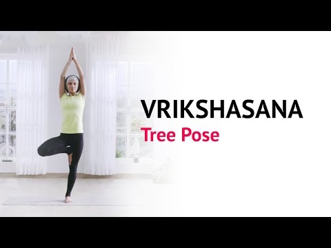 Vrikshasana - Tree Pose | Benefits | Steps | Yogic Fitness | Art Of Living Yoga