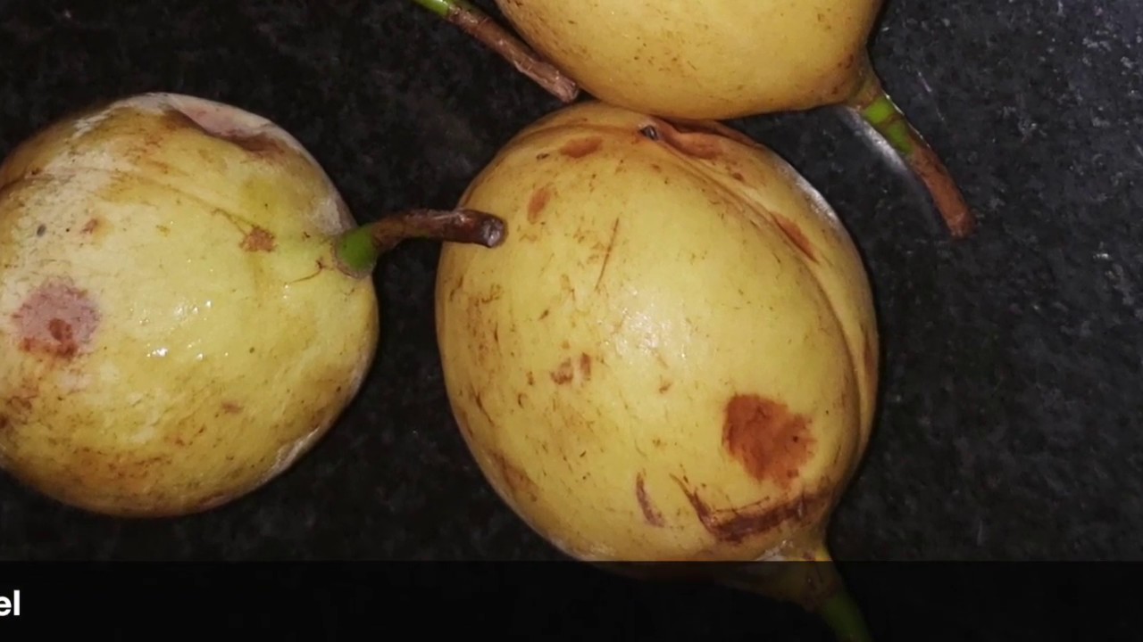 Nutmeg Fruit Pickle | Jathikka Thodu Achar | Pickle Recipe