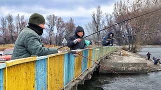 Календарь рыболова северский донец