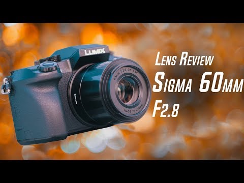 Video thumbnail for Video Review 3