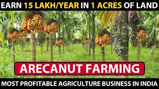 ARECA NUT FARMING / BETEL NUT CULTIVATION | Complete information&#39;s | Supari ki Kheti Kaise Hoti Hai