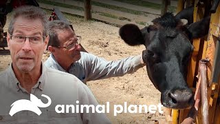 Thumbnail del capítulo