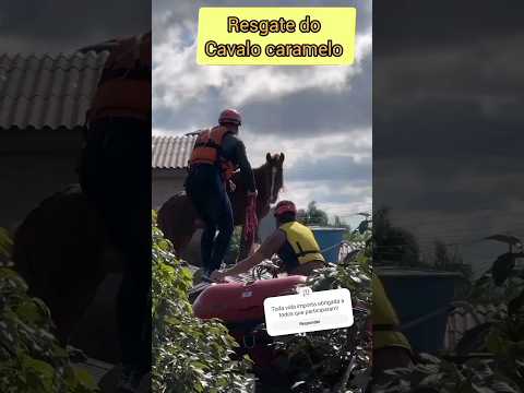 Resgate do Cavalinho Caramelo em Rio Grande Do Sul #shorts #riograndedosul #cavalinhocaramelo