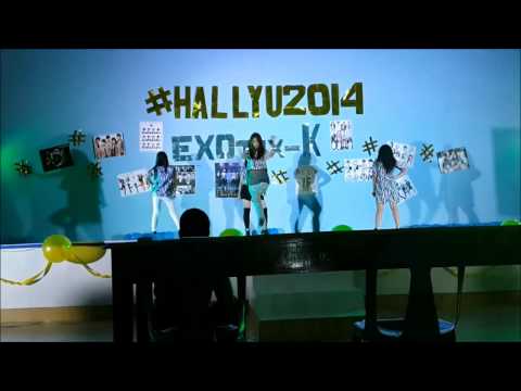 [#HALLYU 2014] MSST1 (2NE1 Cover Group)