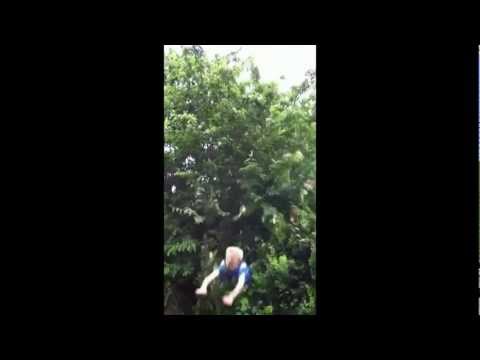 Tree Fall Fail 20.7.2012 |FMV|