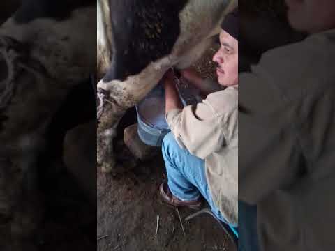 El lechero Nacho arias