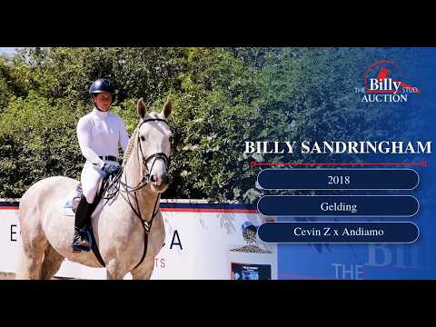 Billy Sandringham
