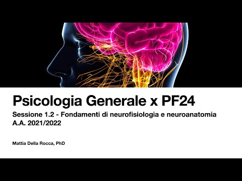 Psicologia Generale x PF 24 - Il neurone e il sistema nervoso