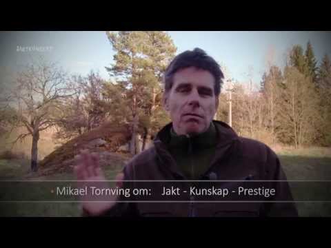 Mikael Tornving skjuter skarpt om jakt, kunskap och prestige