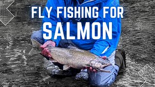 Fly Fishing in Our Secret Salmon Spot