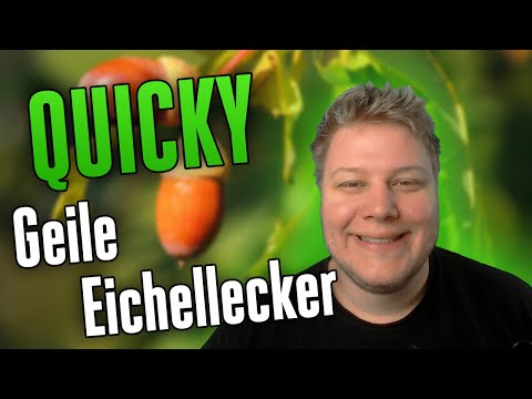 Geile Eichellecker 🎮 Quicky | Best of PietSmiet