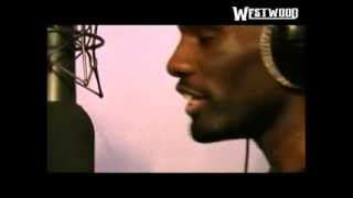 Wretch 32 freestyle - Westwood