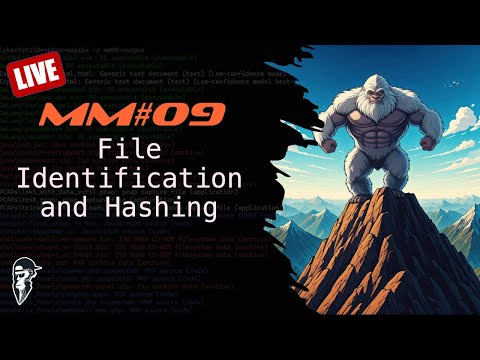 Malware Mondays #09 - File Identification and Hashing Algorithms