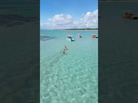 O paraíso em Maragogi Alagoas