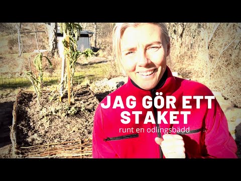 Bygga staket av pinnar