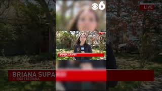 Neighbors raise concerns over vacant Albany home tied to Lorenz Kraus