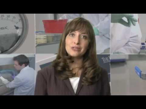 PREVIEW - Effective Use of Class II Biological Safety Cabinets (Digital Training Package)