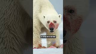 Joe Rogan on The Most Dangerous Bear