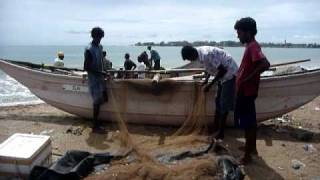 preview picture of video 'Sri Lanka,ශ්‍රී ලංකා,Galle,ගාල්ල,Fishing with nets on the beach'