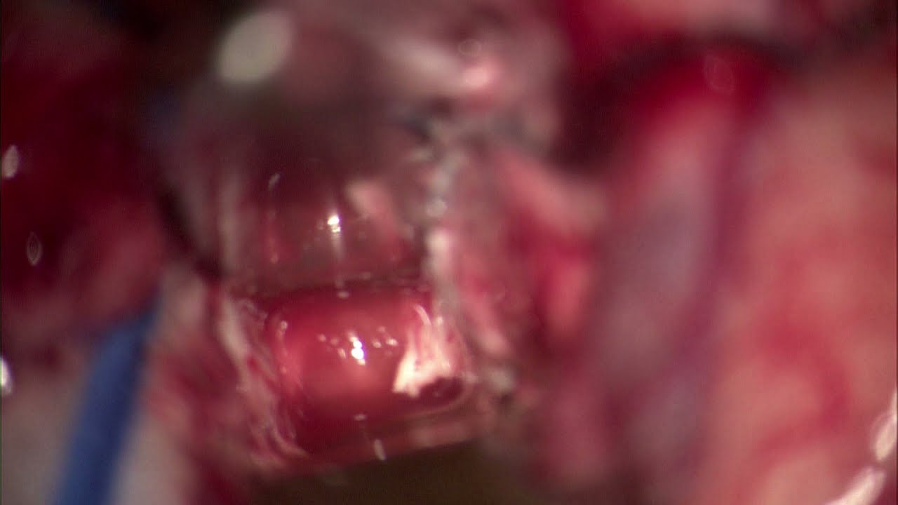 David Tafur Muñoz-2446