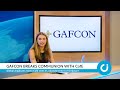 CI News: 17 October 2025