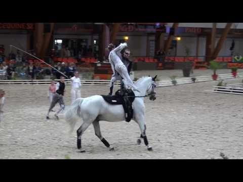 Le Mans 2016 - Senior Team FRA (NOROC)