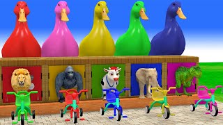 Long Slide Game with Cow Elephant Gorilla Hippopotamus Tiger 3d Animal Game Funny 3d Animals