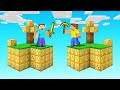 Minecraft BUT The SKYBLOCK Is LUCKY BLOCKS!
