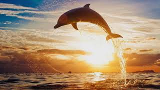 Demented Sound Mafia - I Feel The Most Alive - Song Mix (Epic Music)