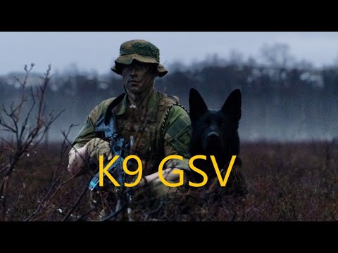 SØK HUNDEFØRER GSV