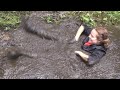 In The Forest Mud Pit