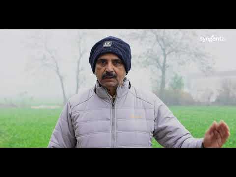 Syngenta RISQ Test | Grower Testimonial | Kurukshetra - Haryana
