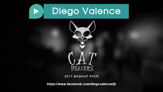 Pump It vs Runaway (Cat Dealers Mashup)