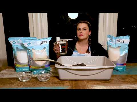 PrettyLitter Presents The Daily Scoop with Kristen