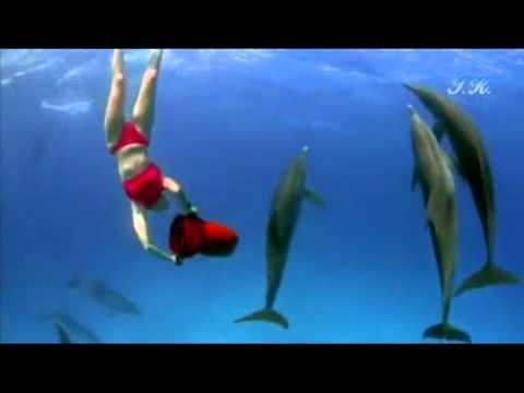 Lucio Battisti La collina dei ciliegi