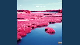 Private Dancer (feat. PnbRock)