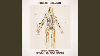 Subterraneans (Small Black Remix)