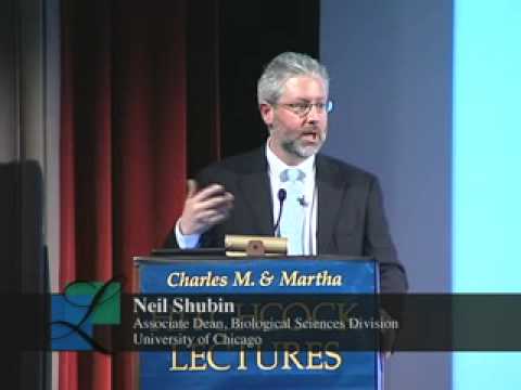 The Great Transitions in Evolution with Neil Shubin