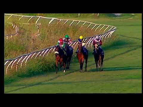 Napoli Galoppo 13/08/2022 - 5ª corsa