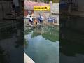 Talakaveri Holy Place Where Kaveri Starts ️ Reels Ytshorts Yt Kannada Kaveri Kaveririver