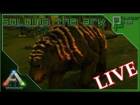 Soloing the Ark - LIVE - Searching for Sir Corgi Wigglebutt!